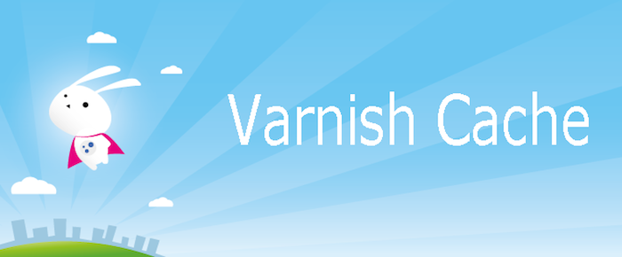 Varnish config for WordPress